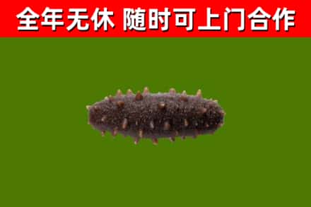 井冈山市烟酒回收干海参.jpg